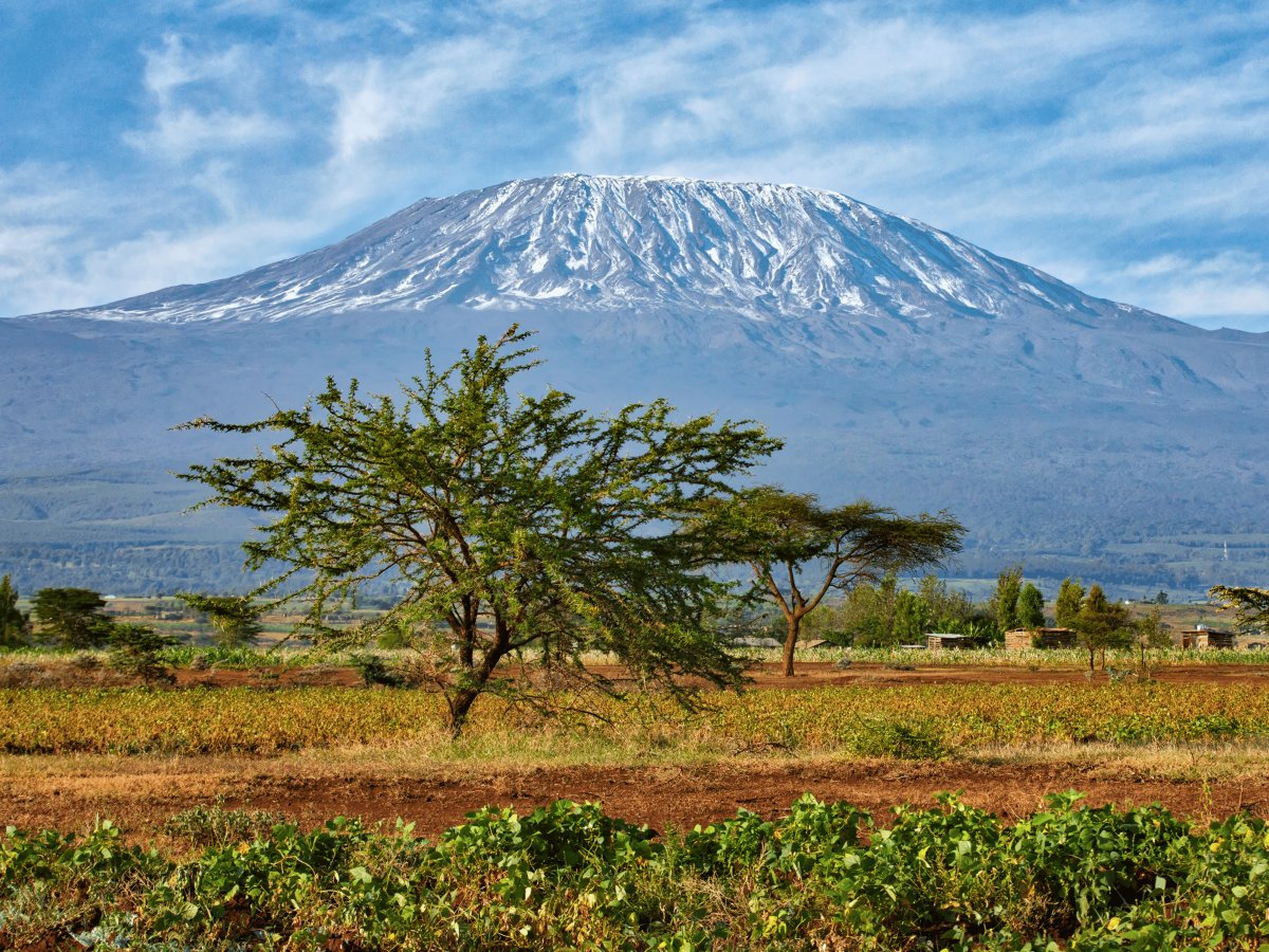 Pacotes de Viagem para a Expedição Kilimanjaro na Tanzânia
