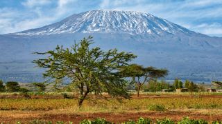 Pacotes de Viagem para a Expedição Kilimanjaro na Tanzânia
