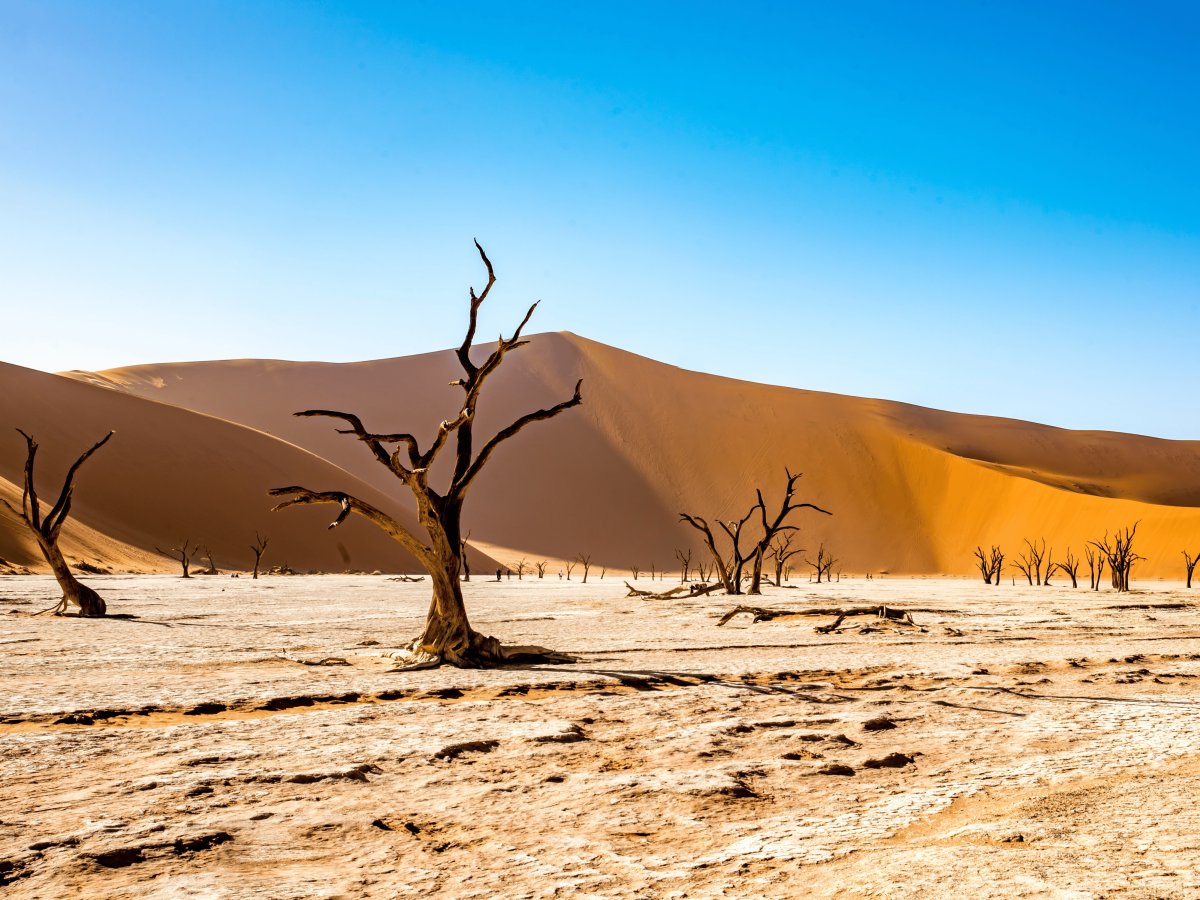 Pacotes de Viagem para a Namíbia
