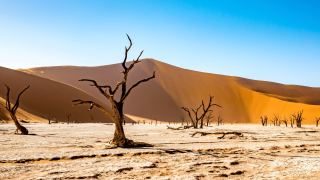 Pacotes de Viagem para a Namíbia