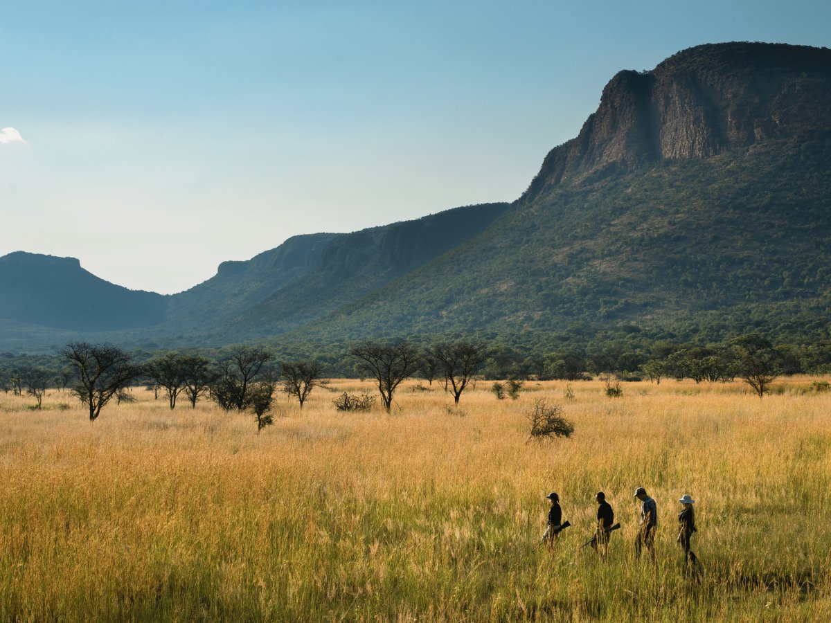 Pacote de Viagem para África do Sul Marakele National Park com Marataba Safari Lodge