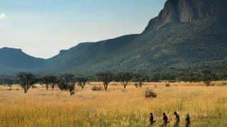 Pacote de Viagem para África do Sul Marakele National Park com Marataba Safari Lodge