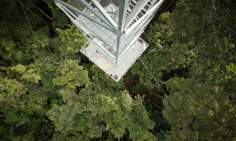 Amazônia - Cristalino Jungle Lodge - Um Santuário Amazônico