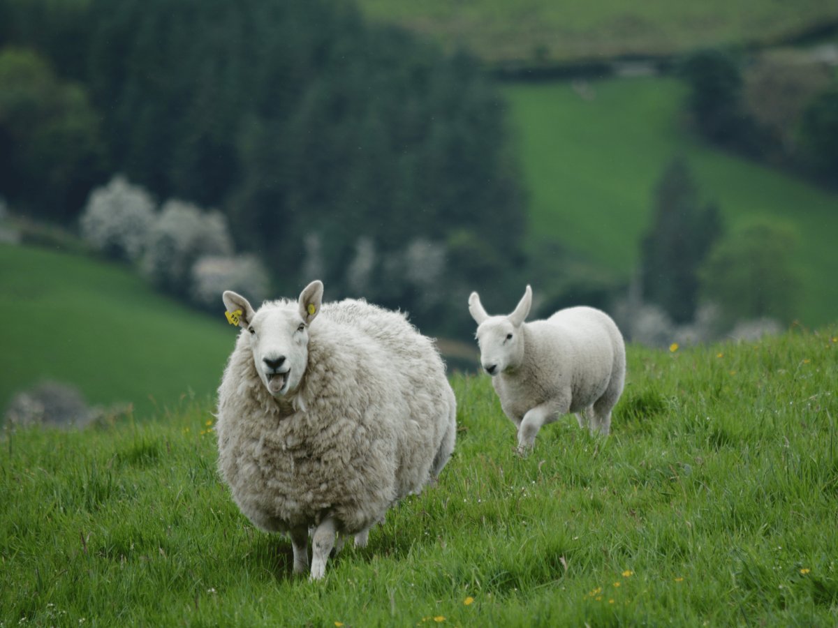 Pacotes de Viagem para a Irlanda