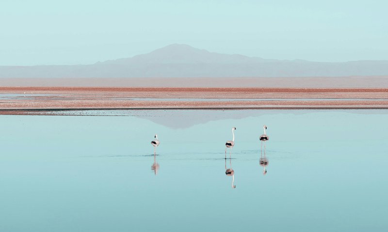 Paisagens do Deserto do Atacama e Santiago