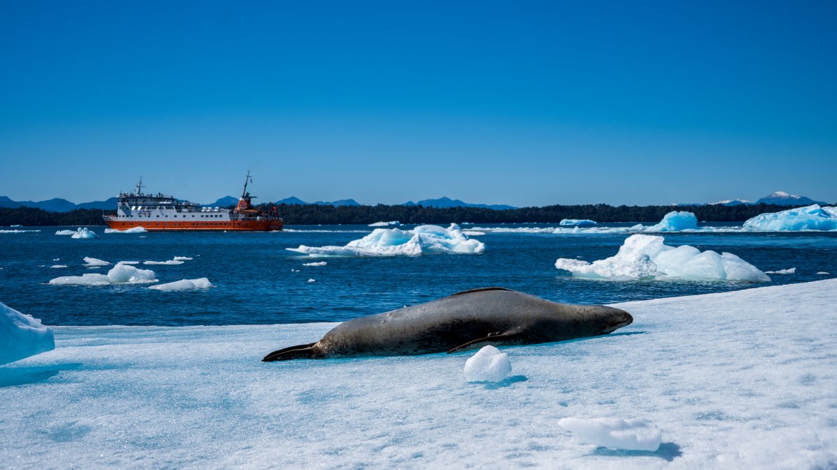 Pacote de Viagem para Cruzeiro Patagônia Skorpios Chile Rota Chonos