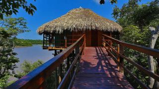 Pacote de Viagem para a Amazônia com Juma Amazon Lodge