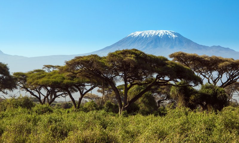 Tanzânia - Expedição ao Topo do Kilimanjaro com Safári