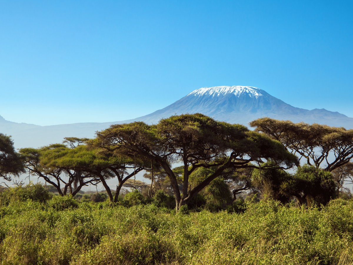 Pacotes de Viagem para Safari na Tanzânia