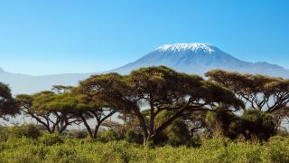 Pacotes de Viagem para Safari na Tanzânia
