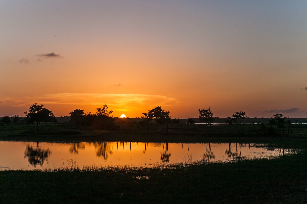 Pacotes de Viagem para Ilha do Marajó Pará