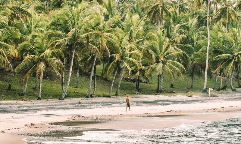 Itacaré - Cacau, Cultura e Praias