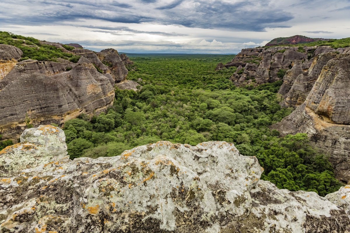 Pacotes de Viagem para a Serra da Capivara