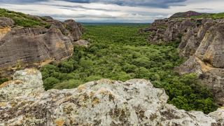 Pacotes de Viagem para a Serra da Capivara
