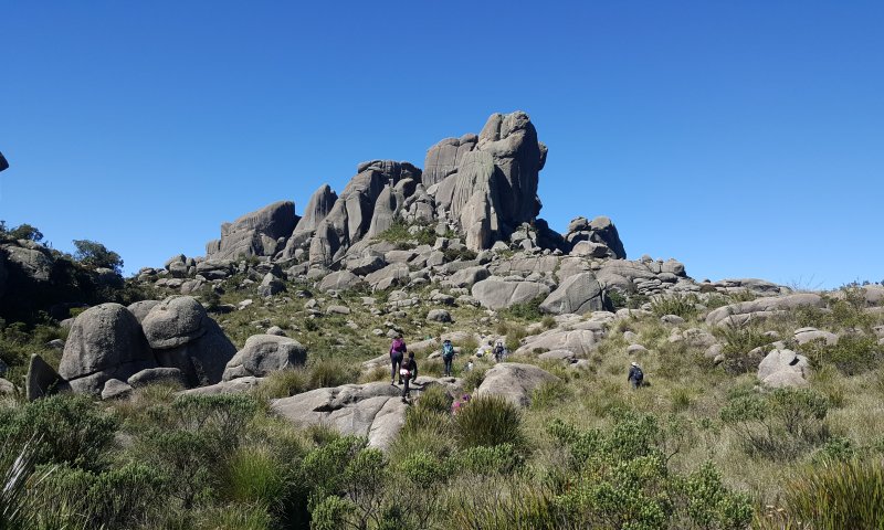 Parque Nacional do Itatiaia - Agulhas Negras e Prateleiras