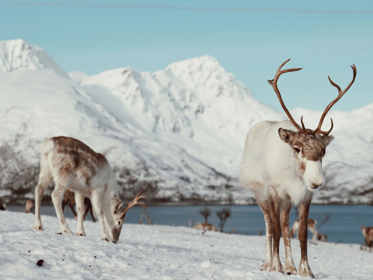 Pacotes de Viagem para Noruega no Inverno