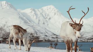 Pacotes de Viagem para Noruega no Inverno