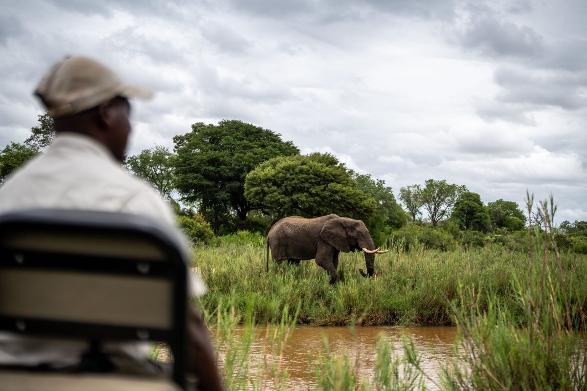 Pacote de Viagem para África do Sul com MalaMala Reserve
