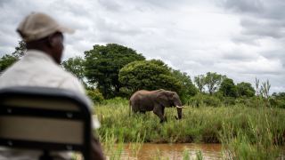 Pacote de Viagem para África do Sul com MalaMala Reserve