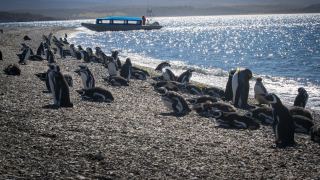 Pacotes de Viagem para Patagônia Argentina Ushuaia Inverno