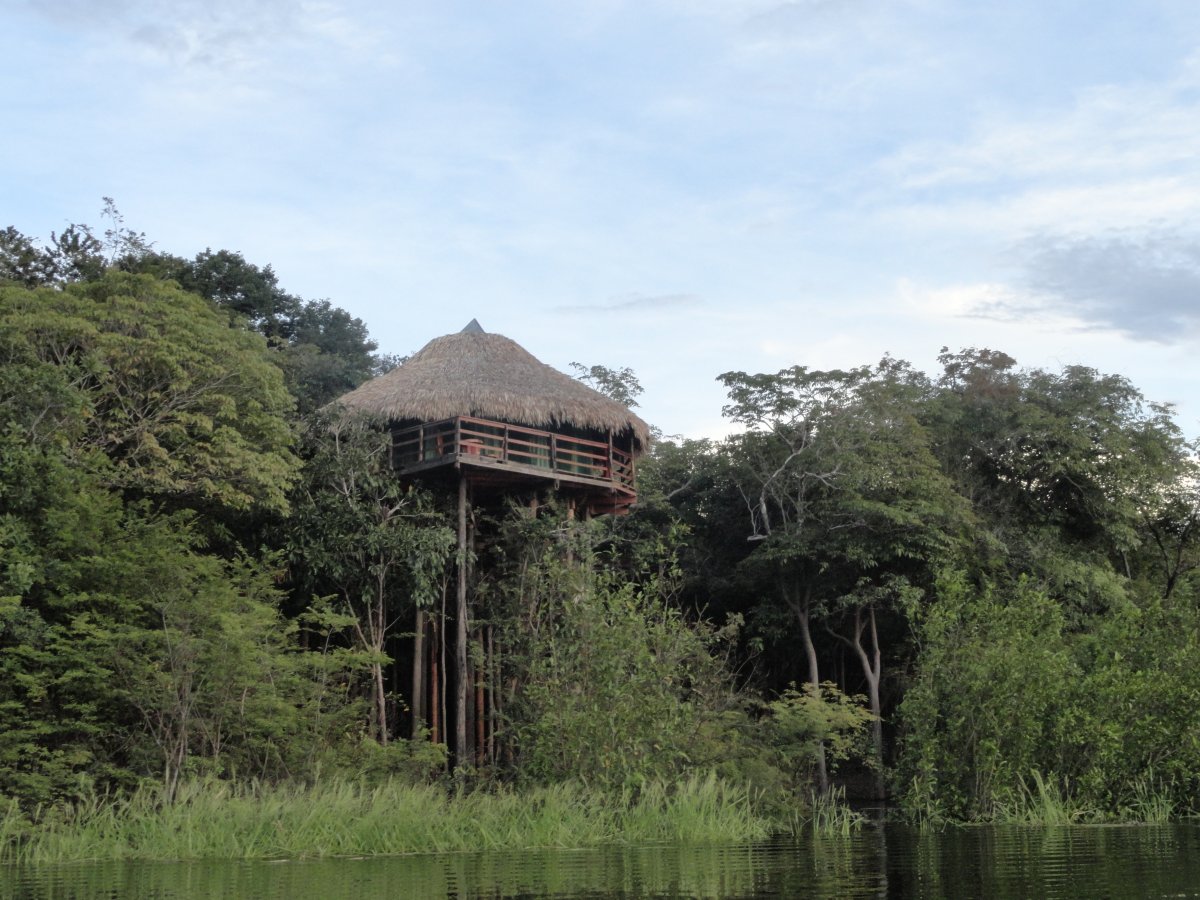 Pacote de Viagem para a Amazônia com Juma Amazon Lodge