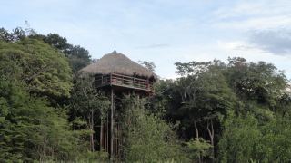 Pacote de Viagem para a Amazônia com Juma Amazon Lodge