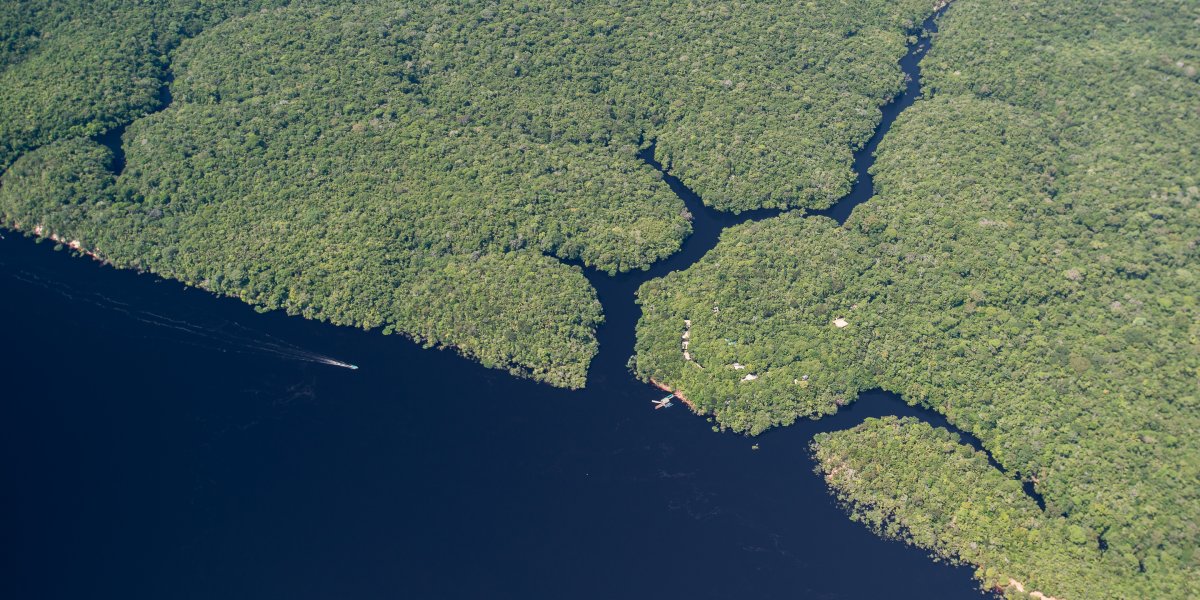 Pacotes de Viagem para a Amazônia com Anavilhanas Jungle Lodge