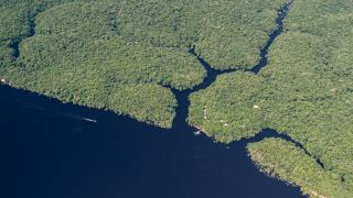 Pacotes de Viagem para a Amazônia com Anavilhanas Jungle Lodge