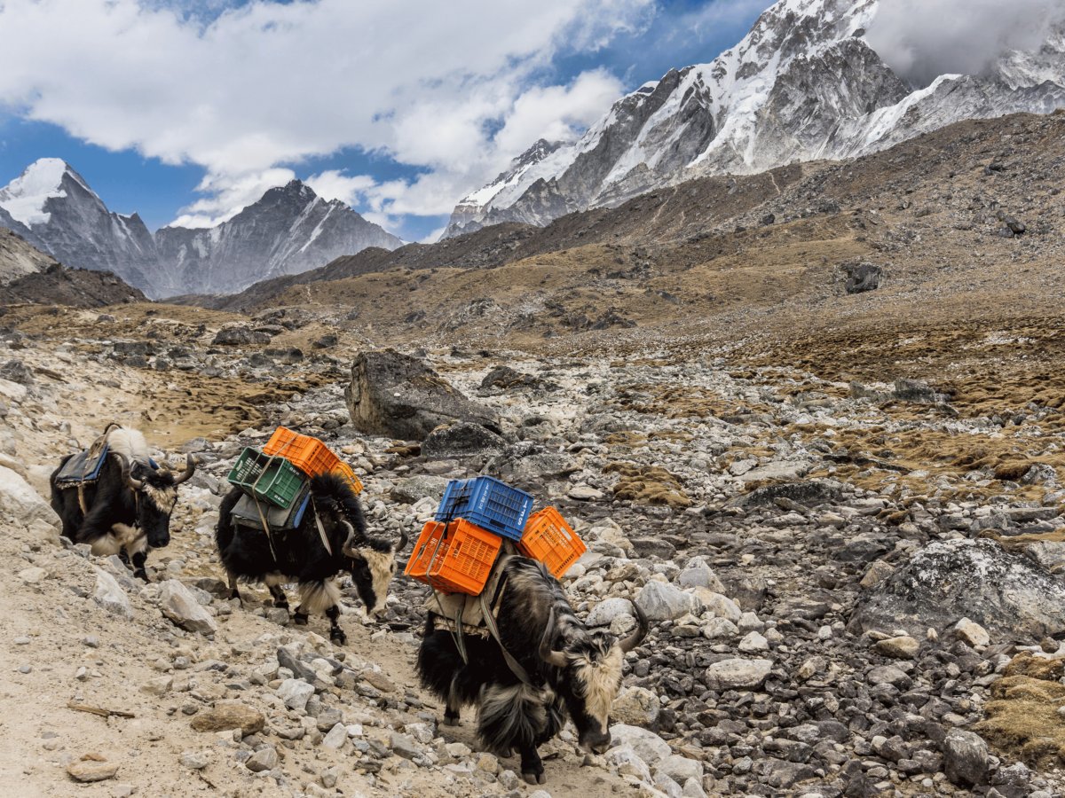 Pacotes de Viagem para o Trekking Campo Base do Everest