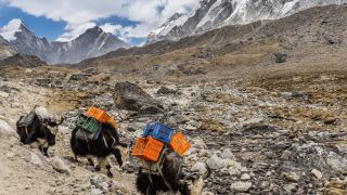 Pacotes de Viagem para o Trekking Campo Base do Everest