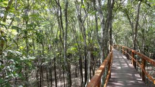 Pacote de Viagem para a Amazônia com Juma Amazon Lodge
