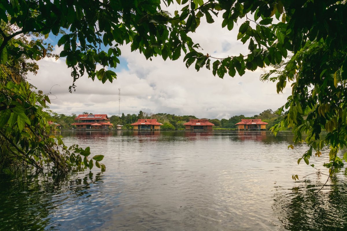 Pacote de Viagem para Amazônia na Reserva Mamirauá Pousada Uacari