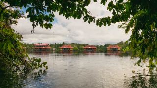 Pacote de Viagem para Amazônia na Reserva Mamirauá Pousada Uacari