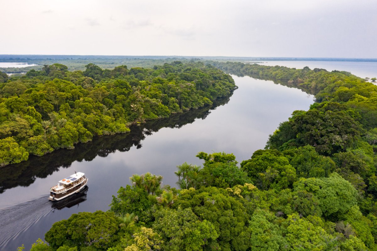 Pacotes de Viagem para a Amazônia com Anavilhanas Jungle Lodge