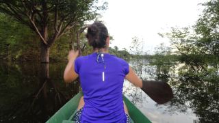 Pacote de Viagem para a Amazônia com Juma Amazon Lodge