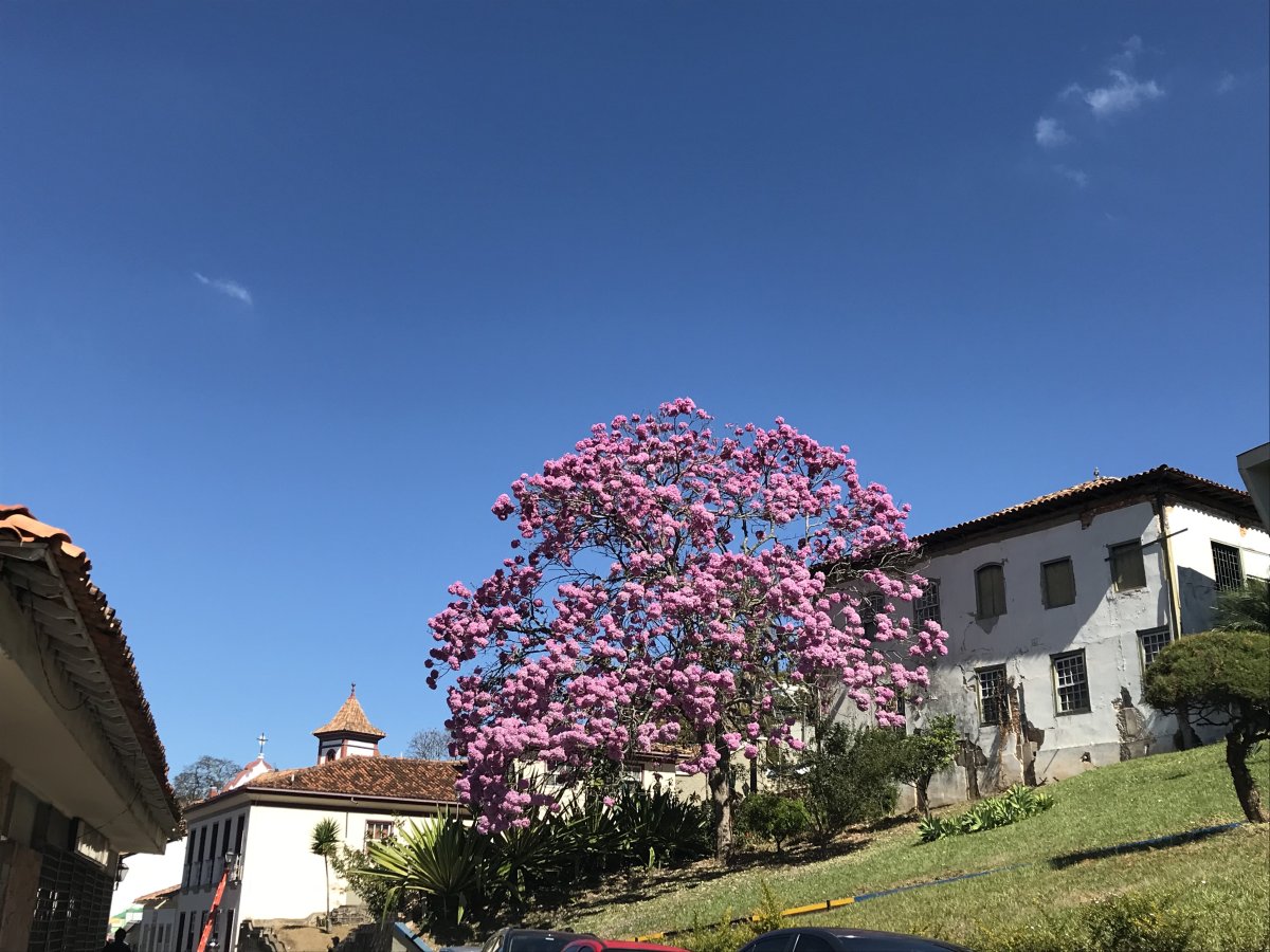 Pacote de Viagem para Diamantina com Trekking na Serra do Espinhaço