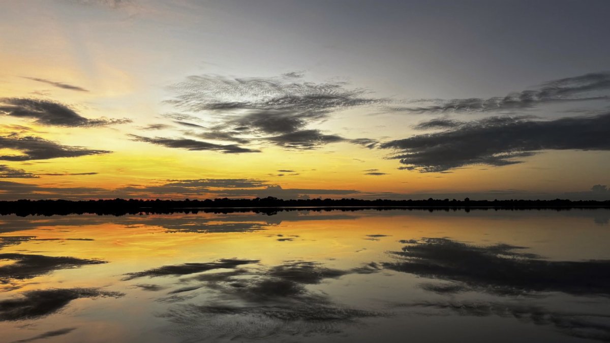 Pacotes de Viagem para a Amazônia