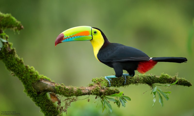 Costa Rica e Panamá – Parques Nacionais e Praias do Caribe