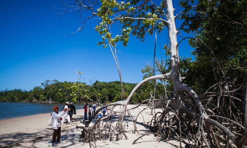 Pará - Descubra Belém, Ilha de Marajó e Alter do Chão