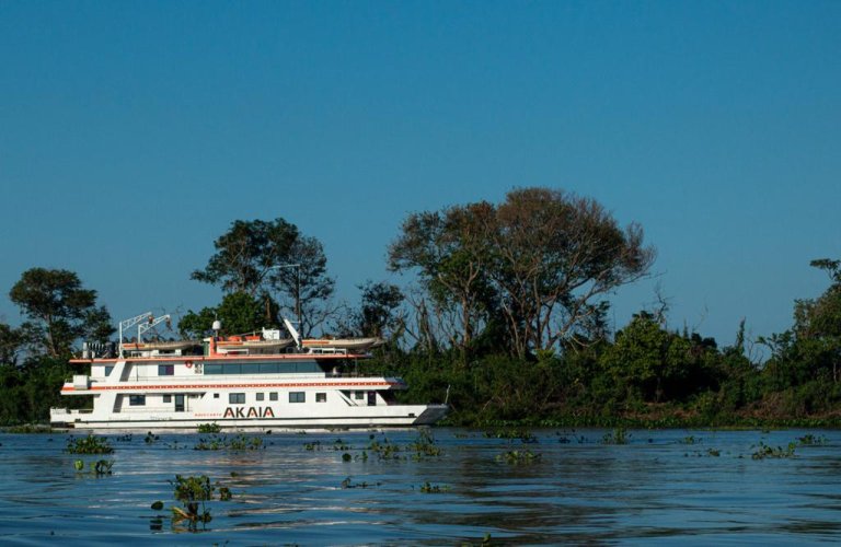 Pacote de Viagem Pantanal Norte Cruzeiro Onças Pintadas