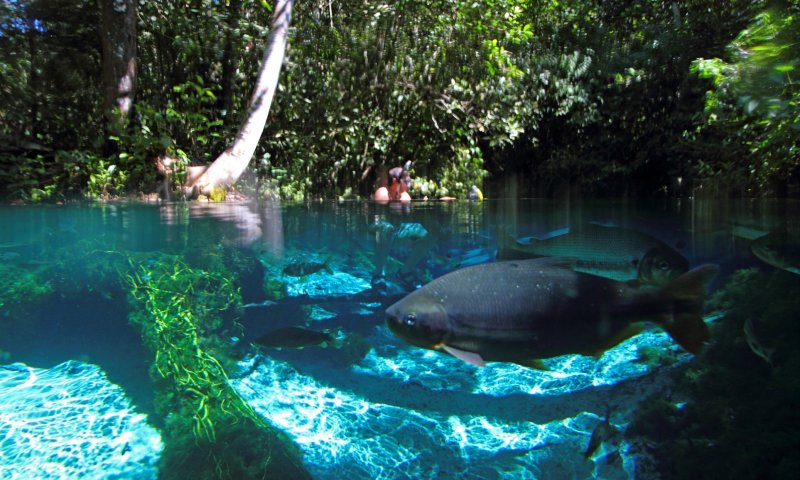 Chapada dos Guimarães e Nobres