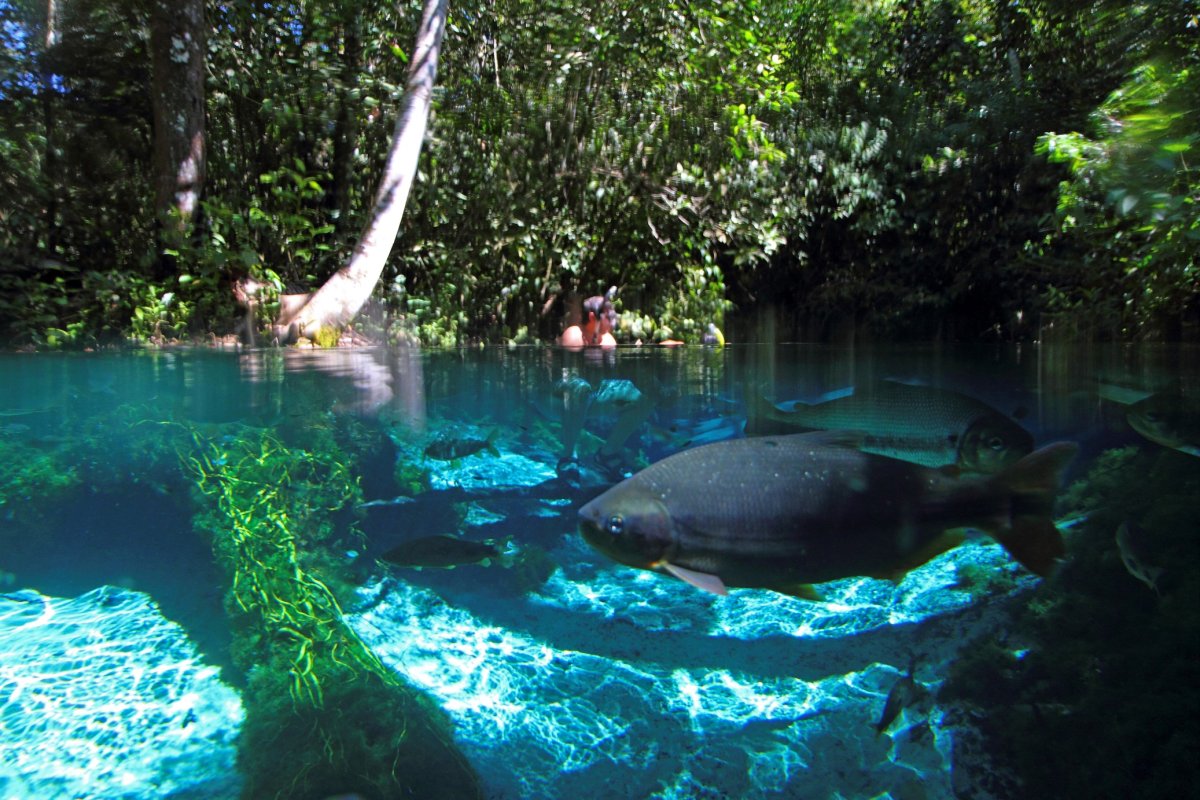 Pacote de Viagem para Nobres Mato Grosso