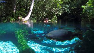 Pacote de Viagem para Nobres Mato Grosso
