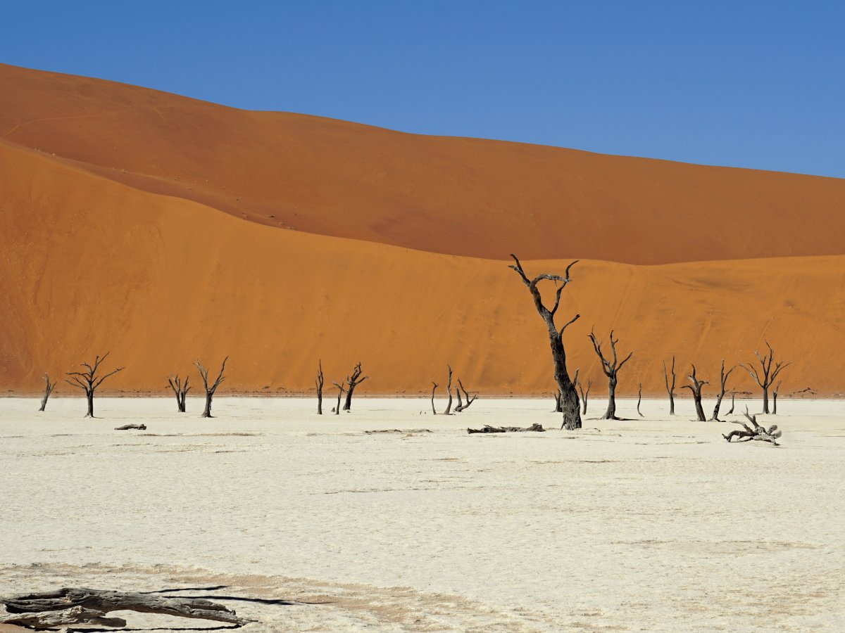 Pacotes de Viagem para a Namíbia