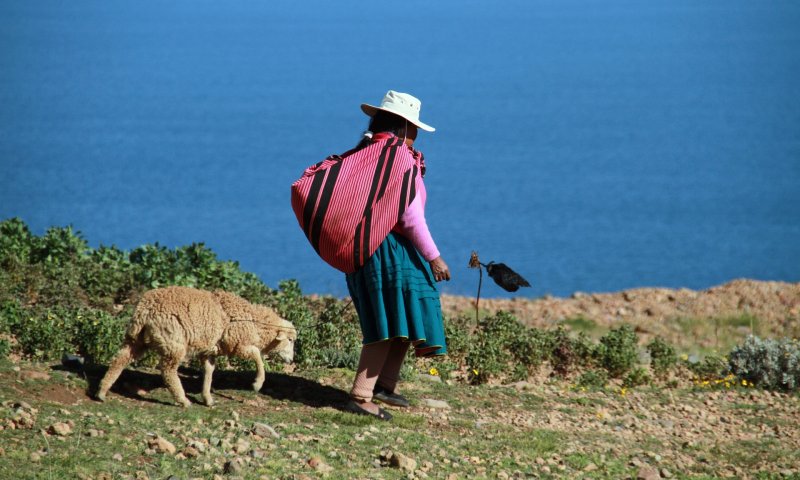 Machu Picchu e Lago Titicaca Express