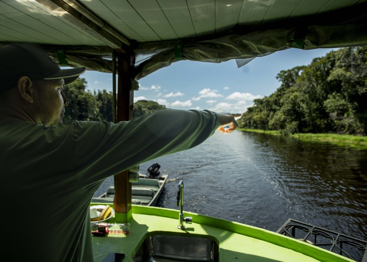 Pacotes de Viagem para Navegação no Rio Negro - Expedições Katerre — Foto: Jacaré Tinga