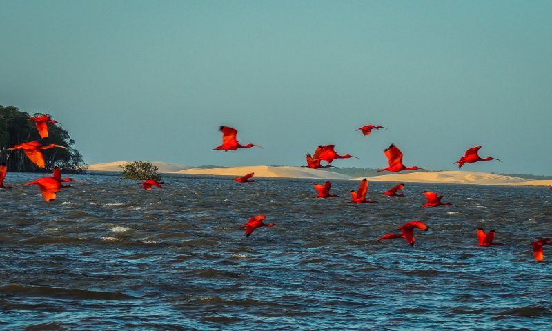 Rota das Emoções - Lençóis, Delta e Jeri
