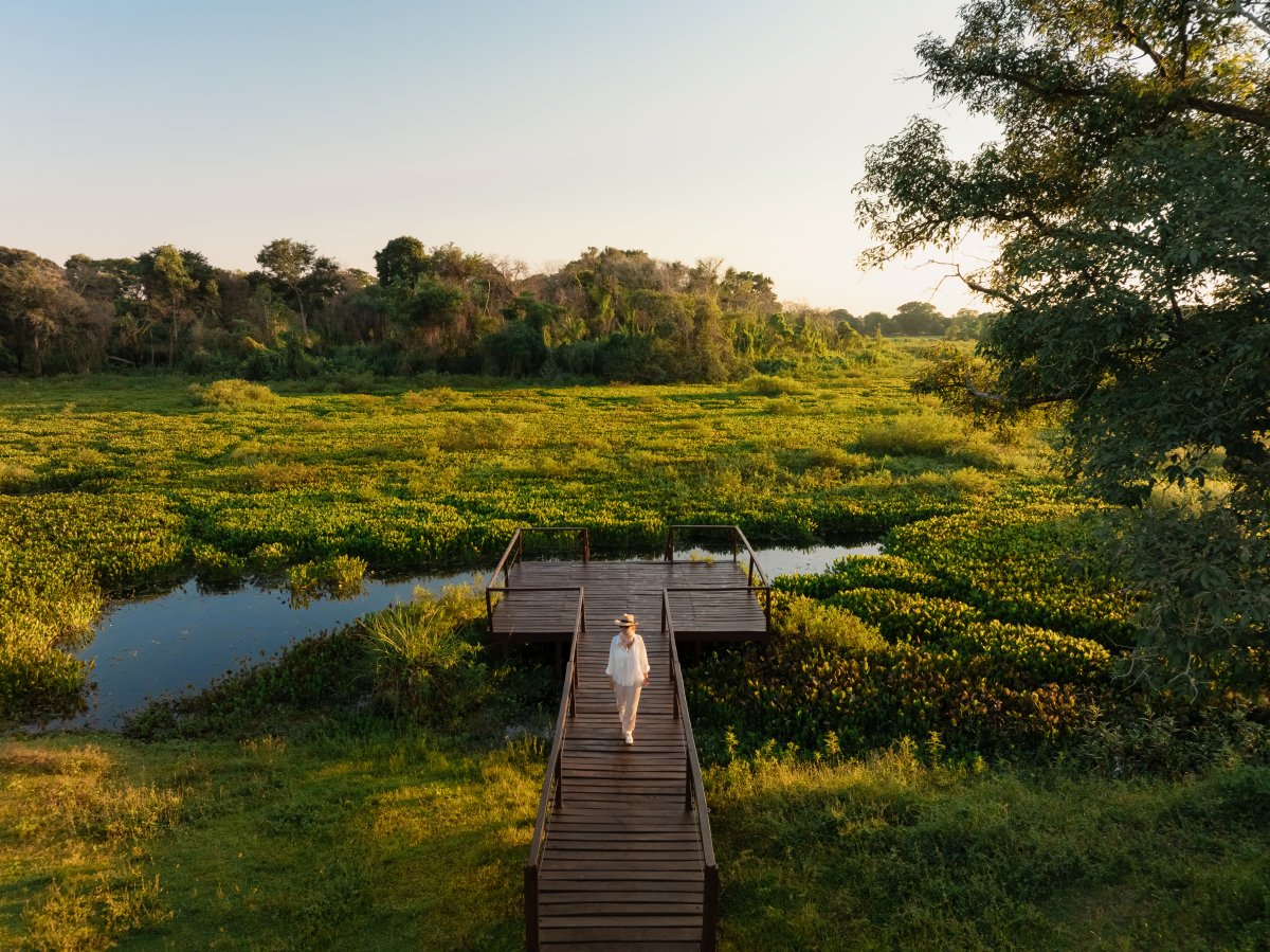 Pacotes de Viagem para o Pantanal no Refúgio Caiman
