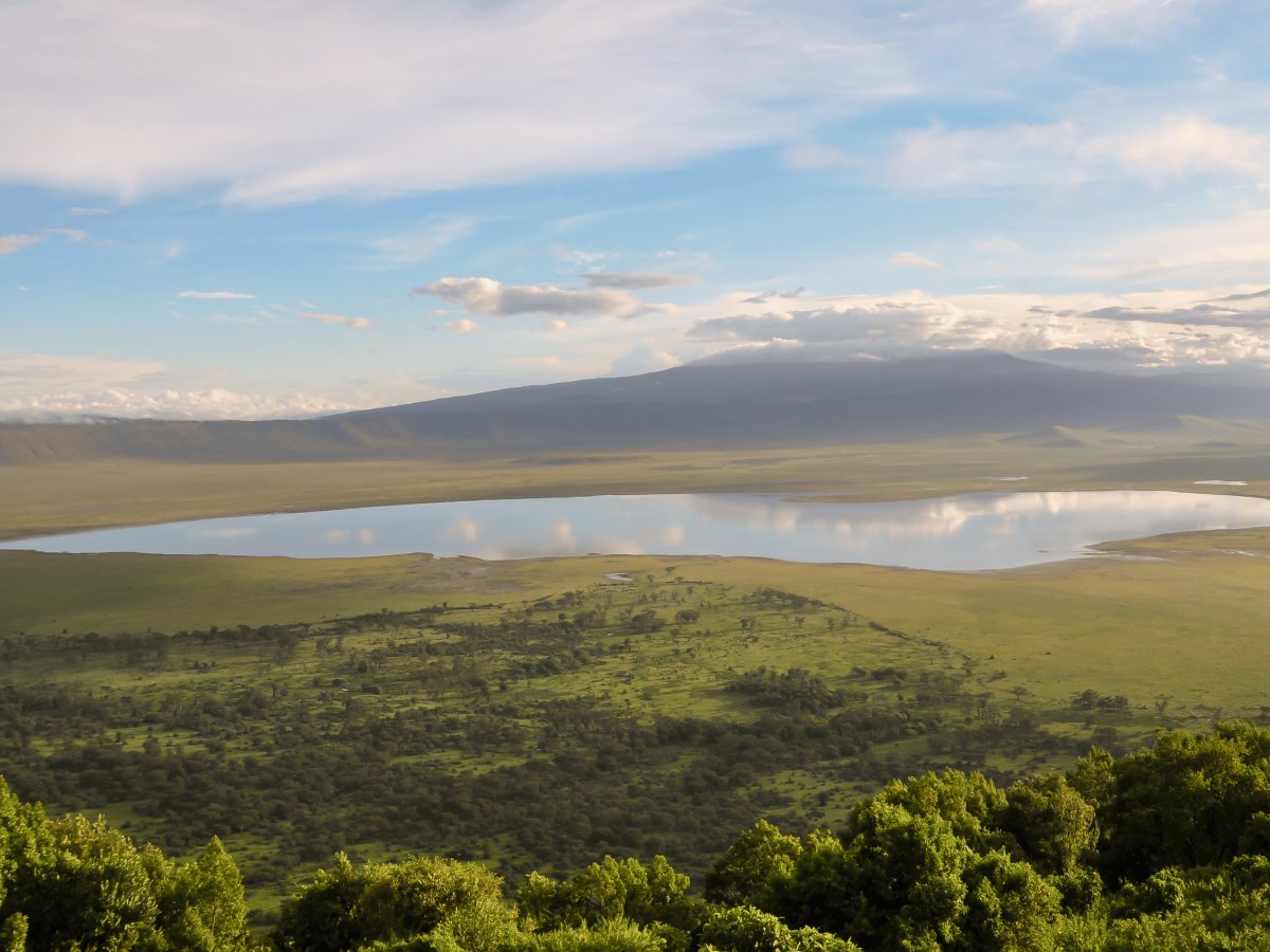 Pacotes de Viagem para Safari na Tanzânia