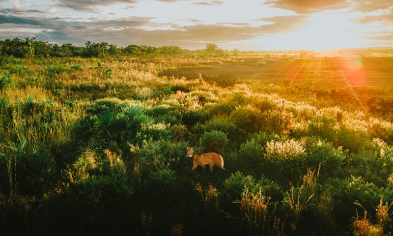 Pousada Trijunção e Parque Nacional Grande Sertão Veredas